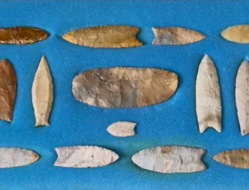 Paleo Clovis Points and Knives